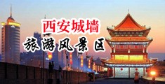 大鸡巴操大黑毛屄视频中国陕西-西安城墙旅游风景区
