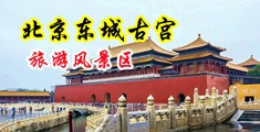 日bb黄色色库毛多多老妇中国北京-东城古宫旅游风景区