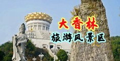 天天操骚逼网中国浙江-绍兴大香林旅游风景区